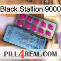 Black Stallion 9000 35